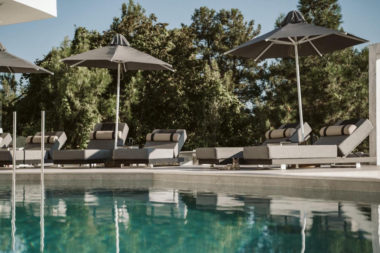 Akrotiri Olympus Luxury Suites - Adults Only Plaka Litochorou Ngoại thất bức ảnh